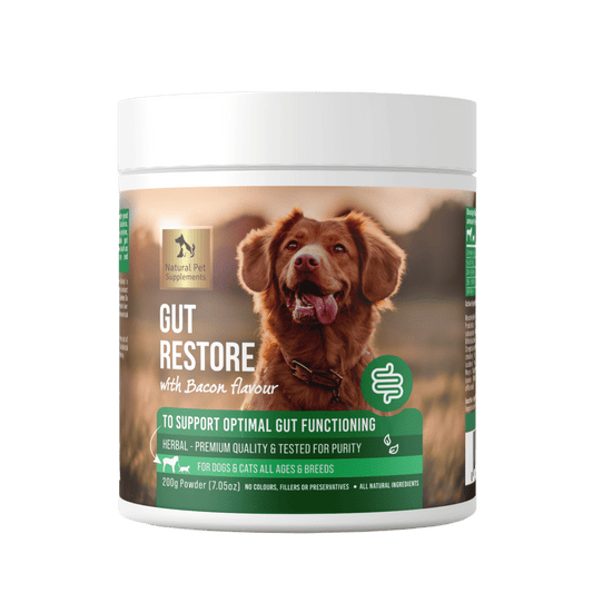 Gut Restore Powder for Dogs and Cats, Bacon Flavour, 200g