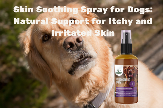 Skin Soothing Spray for Dogs: Natural Support for Itchy and Irritated Skin