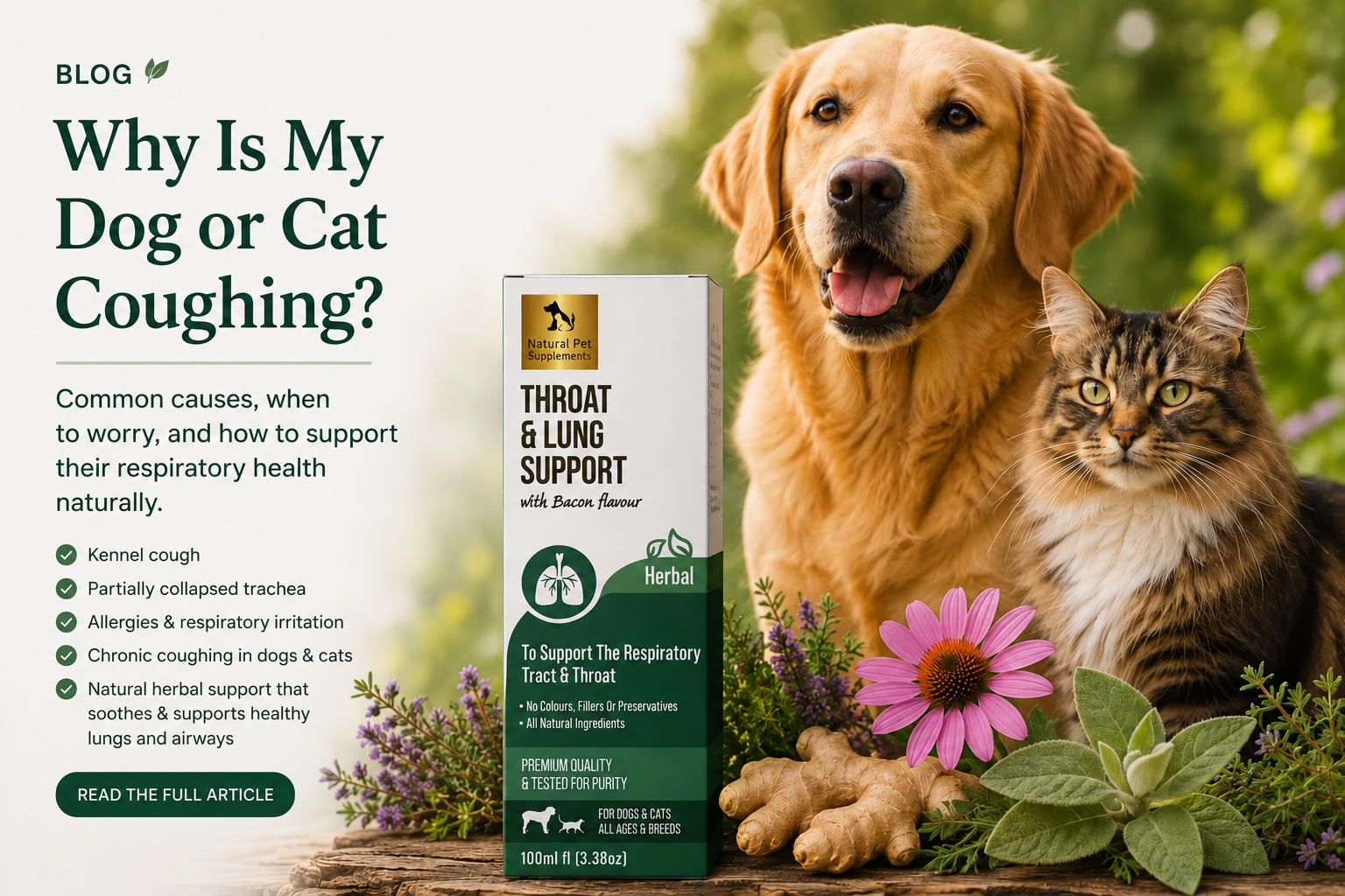 Why Is My Dog or Cat Coughing? Common Causes, When to Worry, and How to Support Their Respiratory Health