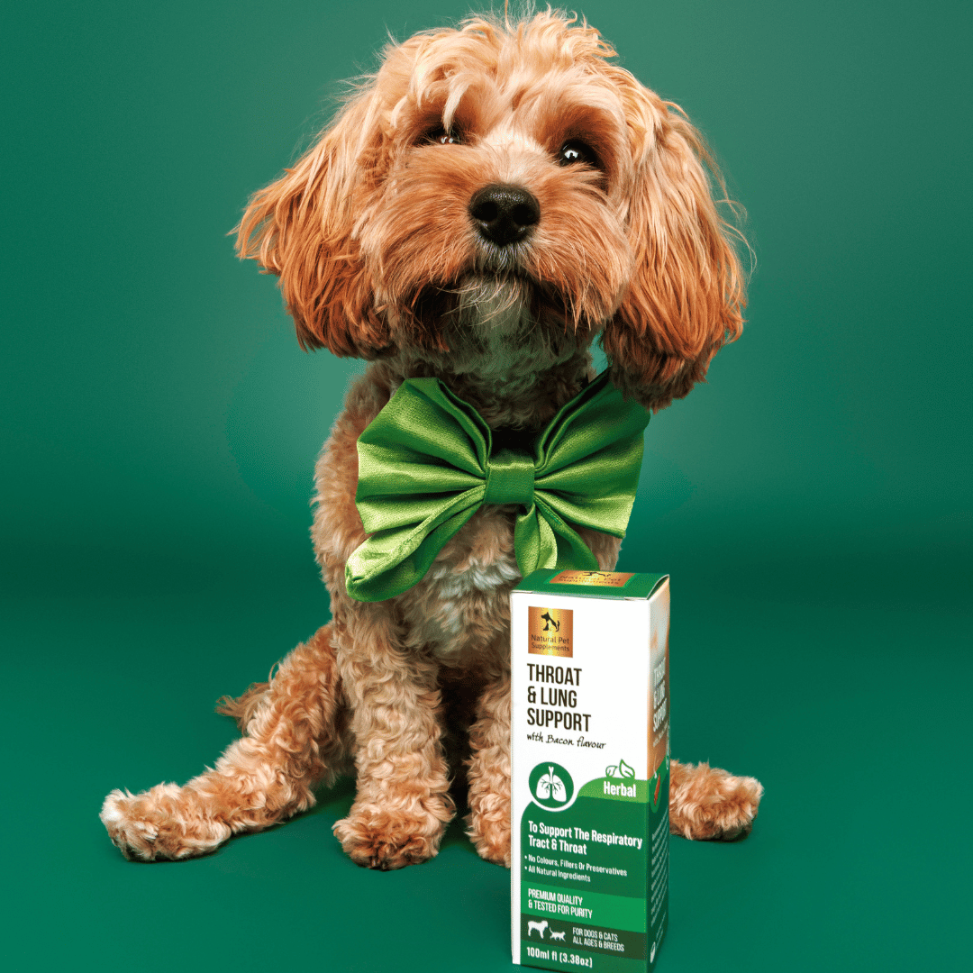Throat and Lung Support Herbal Tincture For Dogs and Cats-Natural Pet Supplements Australia