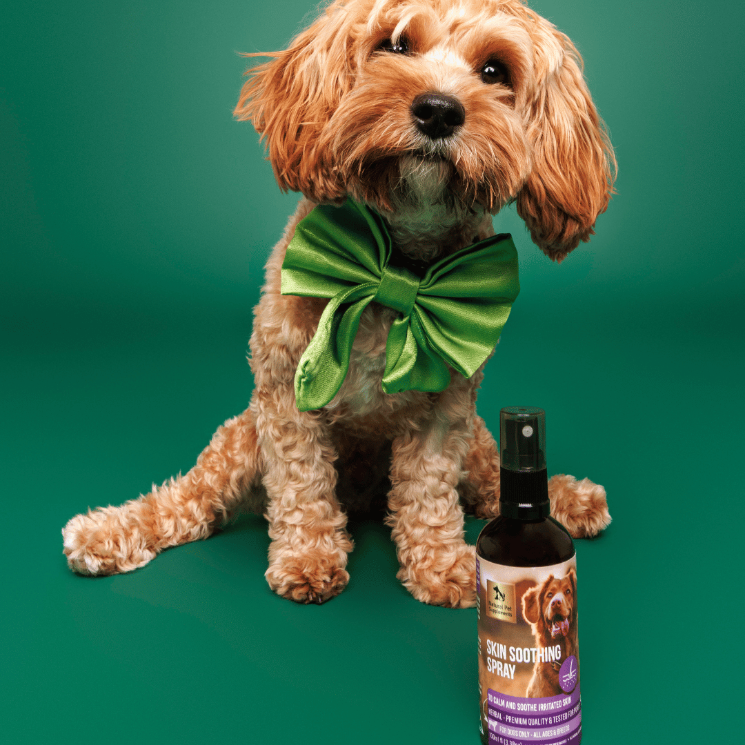 Skin Soothing Spray for Dogs 100ml-Natural Pet Supplements Australia