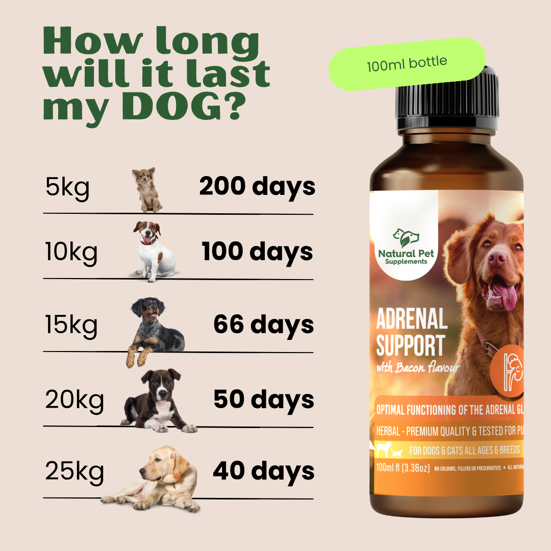 Adrenal Support Herbal Tincture For Dogs and Cats 100ml