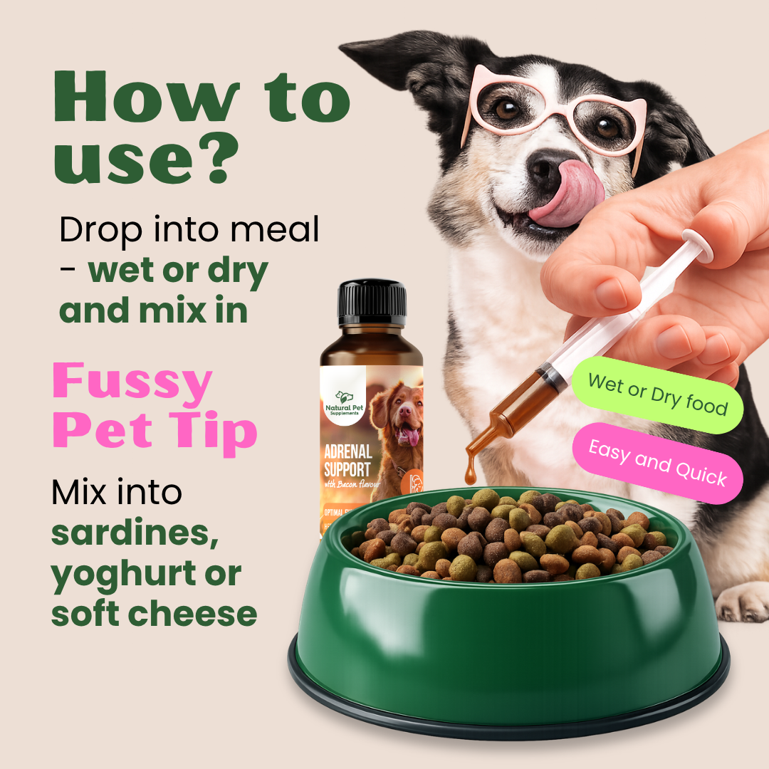 Adrenal Kit, Herbal Tinctures for Dogs