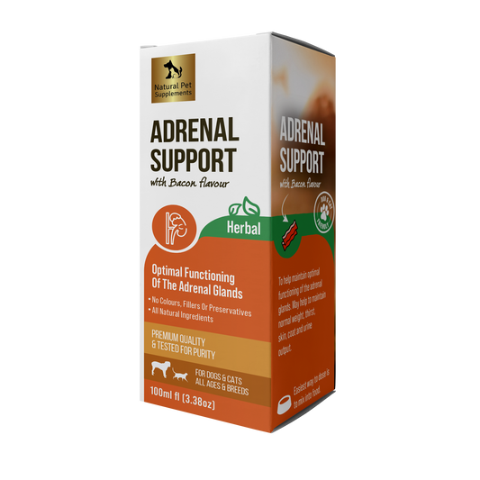 Adrenal Support Herbal for Dogs with Cushings Disease