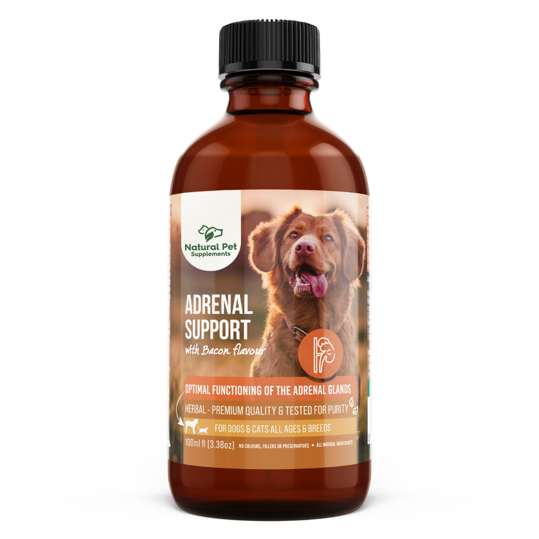 Adrenal support supplement for dogs with natural herbal ingredients 200ml
