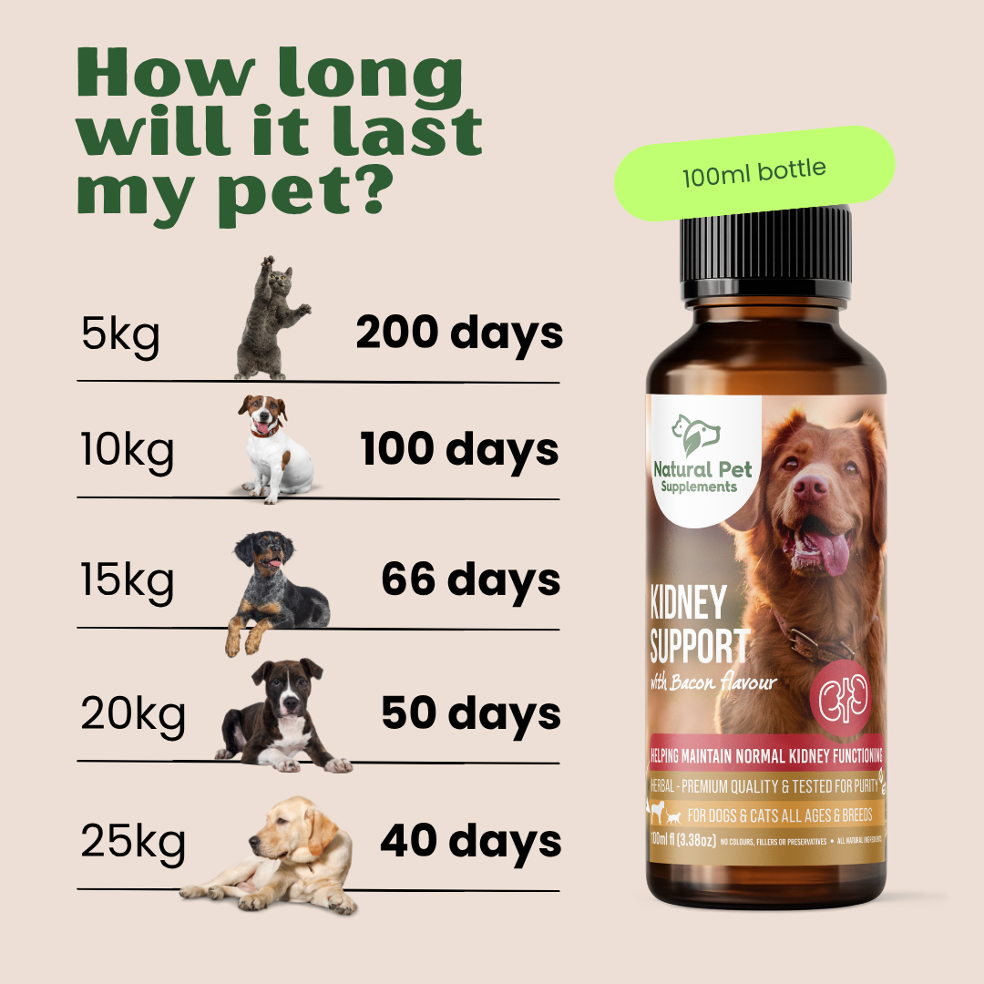 Kidney Support Herbal Tincture For Dogs and Cats 100ml