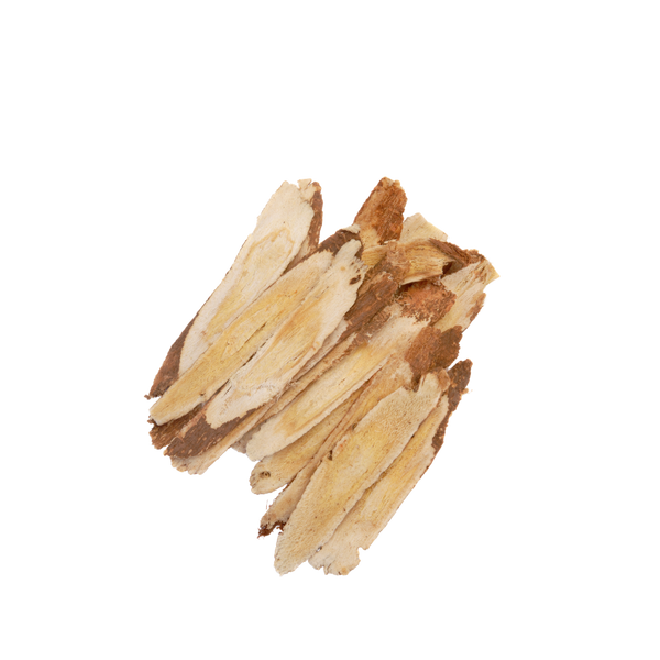 Astragalus root used in Natural Pet Supplements Hypothyroid Support for dogs