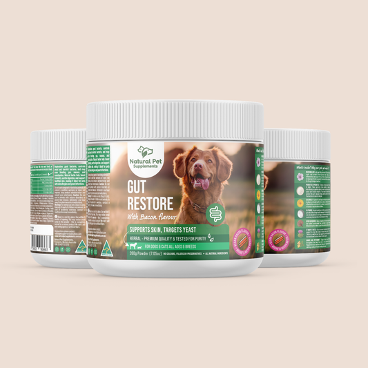 Natural pet supplements gut restore powder for dogs and cats bacon flavour