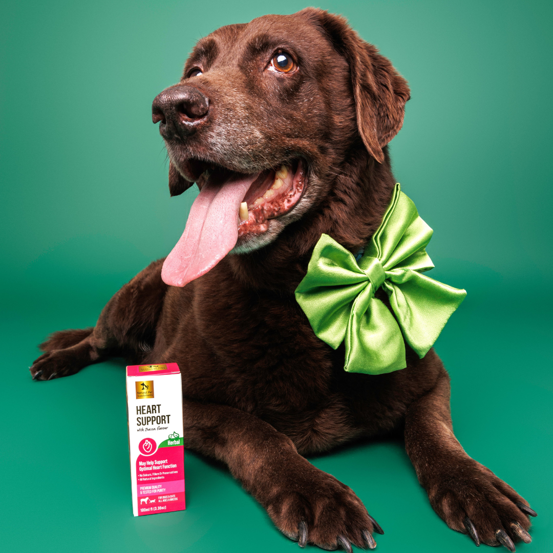 Heart Support Herbal Tincture For Dogs and Cats 100ml-Natural Pet Supplements Australia