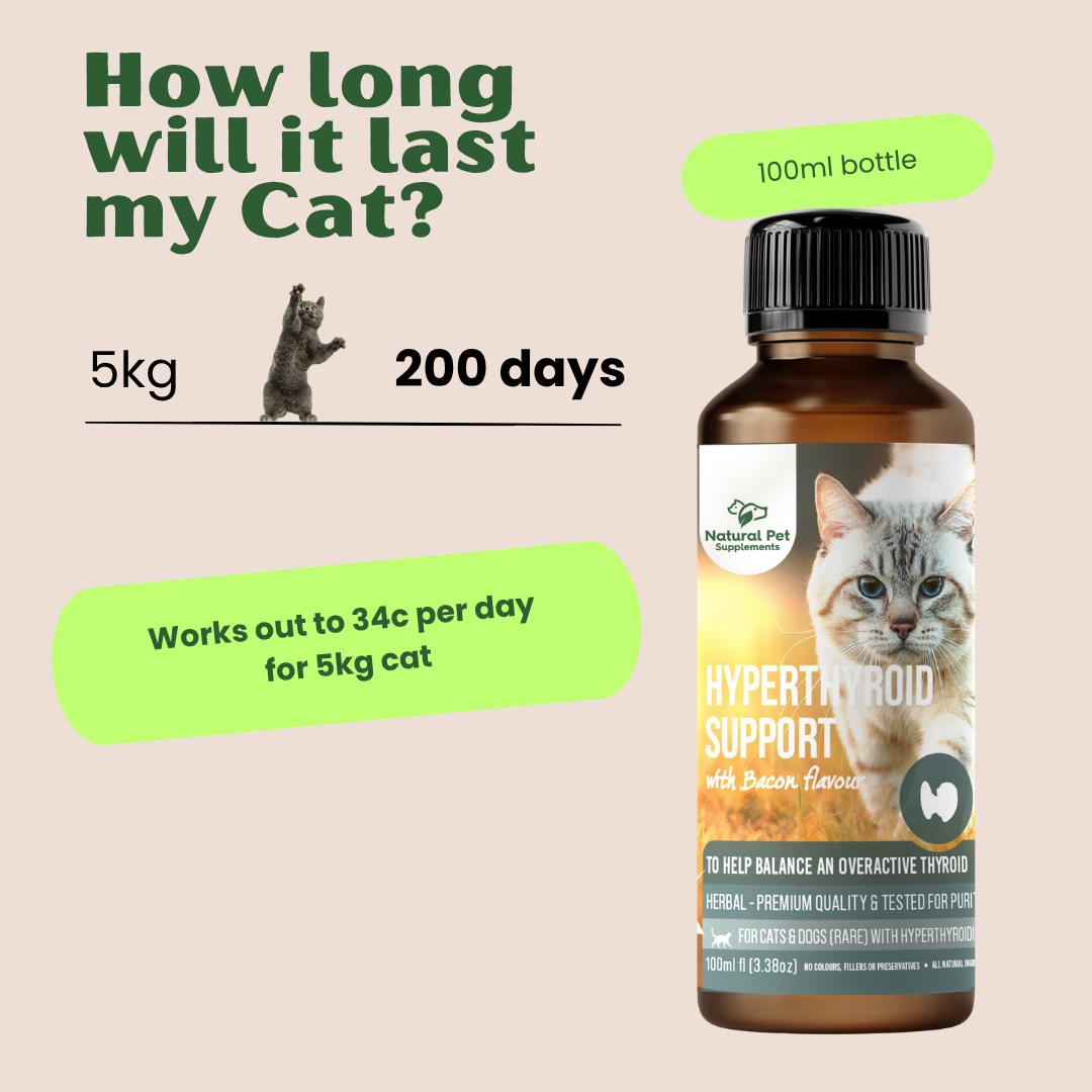 l-carnitine cats hyperthyroidism Exploring the potential anti-thyroid activity of Acetyl-L-carnitine: Lactoperoxidase inhibition profile, iodine complexation and scavenging power against H2O2. Experimental and theoretical studies Did you know L-Carnitine 2-Pack Cat Weight Gain &