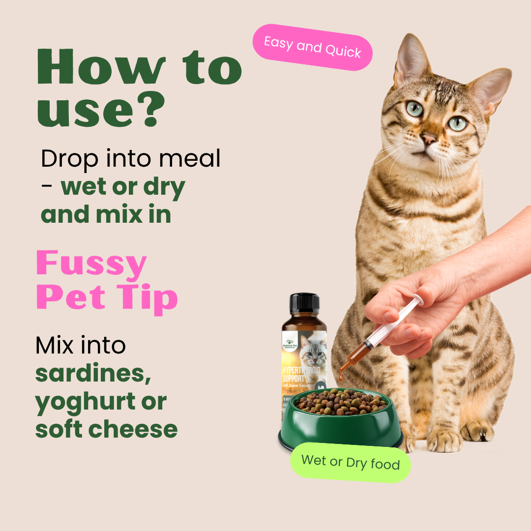 Hyperthyroid Support Herbal Tincture for Cats 100ml
