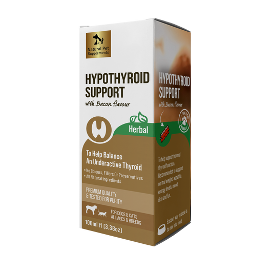 Hypothyroid Support Herbal Tincture for Dogs 100ml