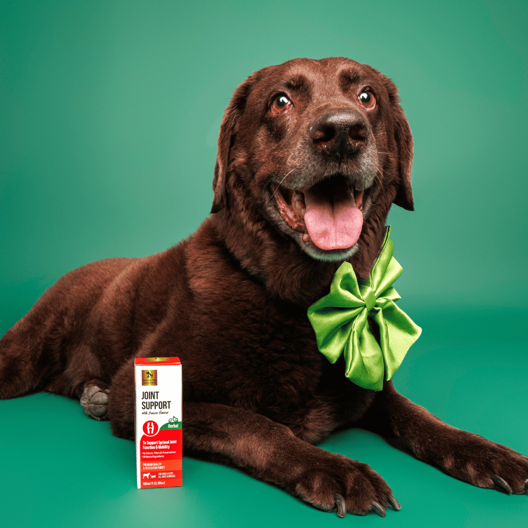 Joint Support Herbal Tincture for Dogs and Cats 100ml-Natural Pet Supplements Australia