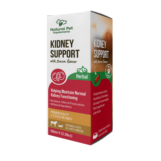 natural pet supplements kidney support herbal for dogs and cats 100ml bacon flavour