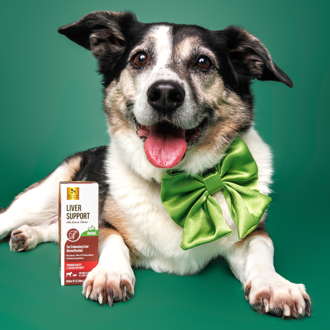 Liver Support Herbal Tincture for Dogs and Cats-Natural Pet Supplements Australia