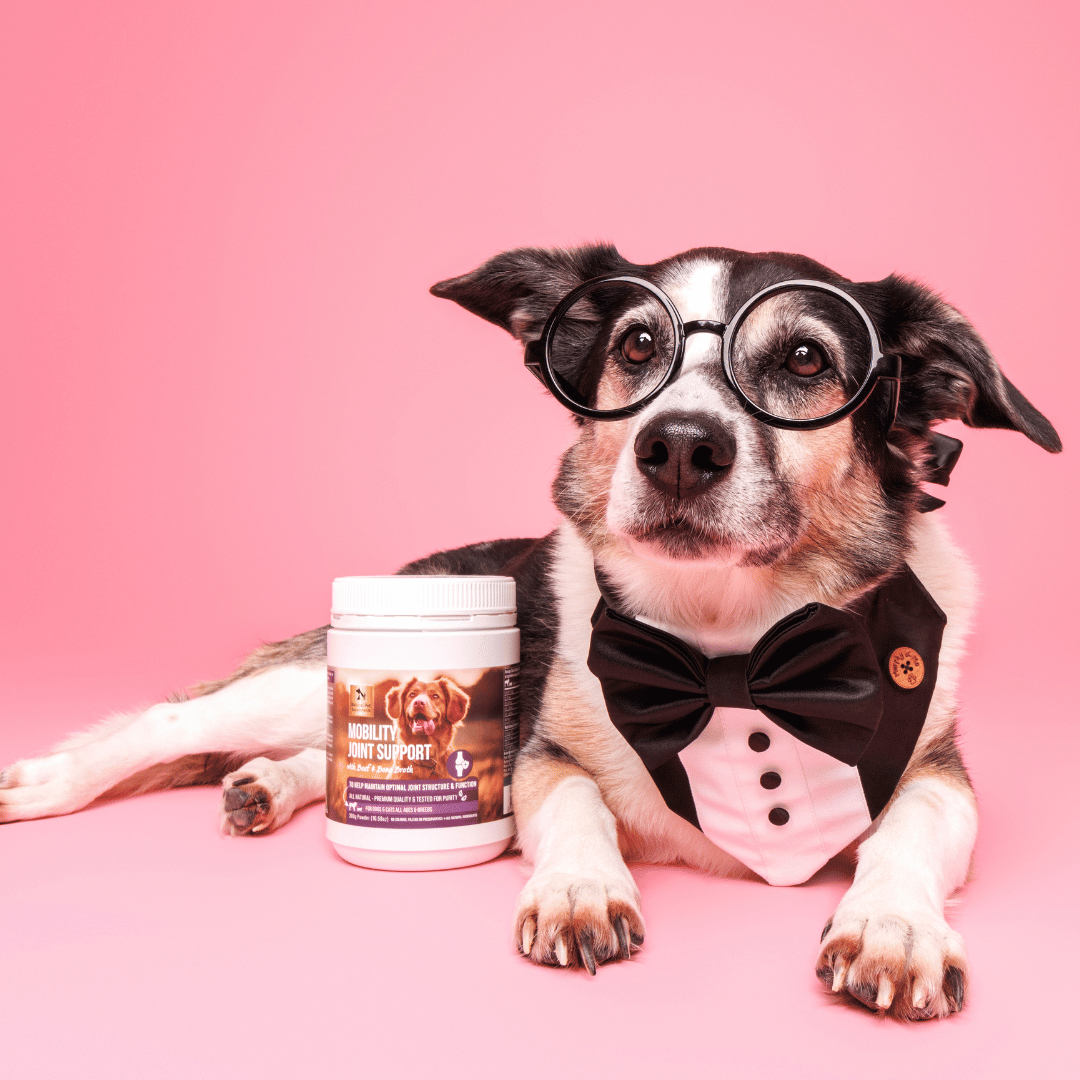 Mobility Joint Support Powder for Dogs and Cats 250g-Natural Pet Supplements Australia