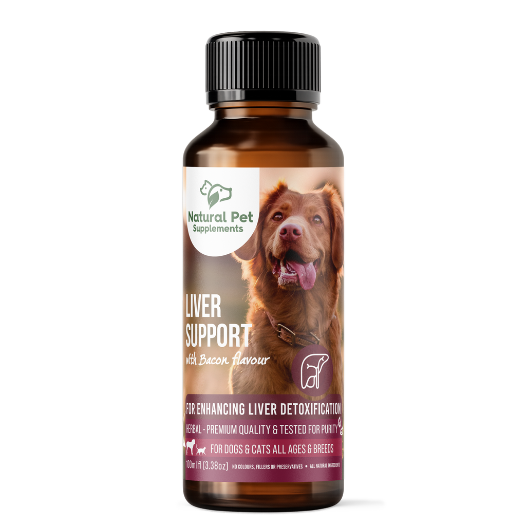 Liver Support Herbal Tincture for Dogs and Cats