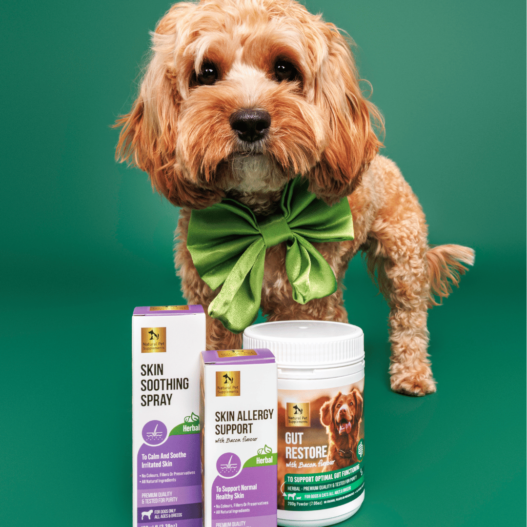 Skin Allergy Kit for Dogs and Cats-Natural Pet Supplements Australia