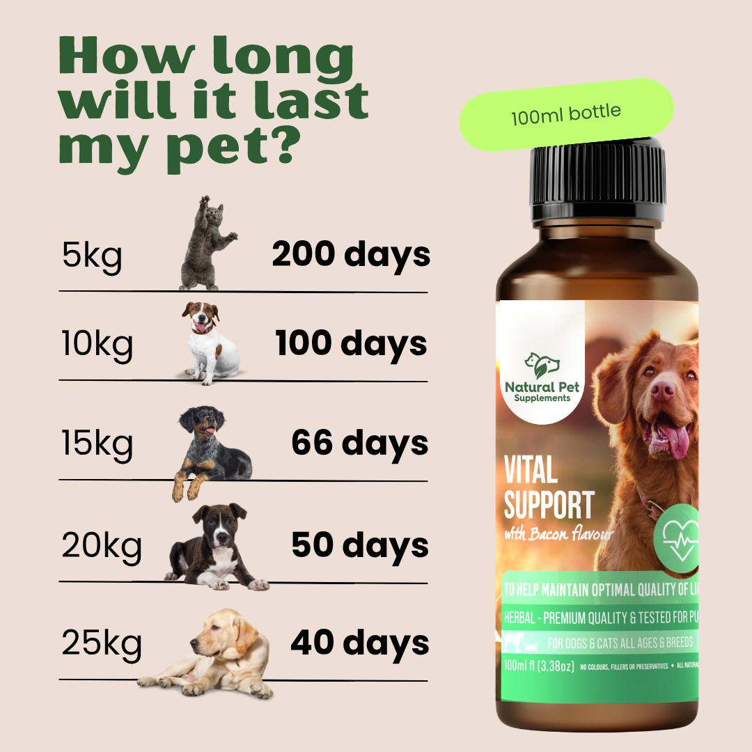 Vital Support Herbal Tincture for Dogs and Cats 100ml