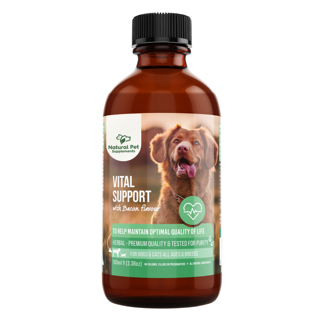 natural pet supplements vital support box 200ml