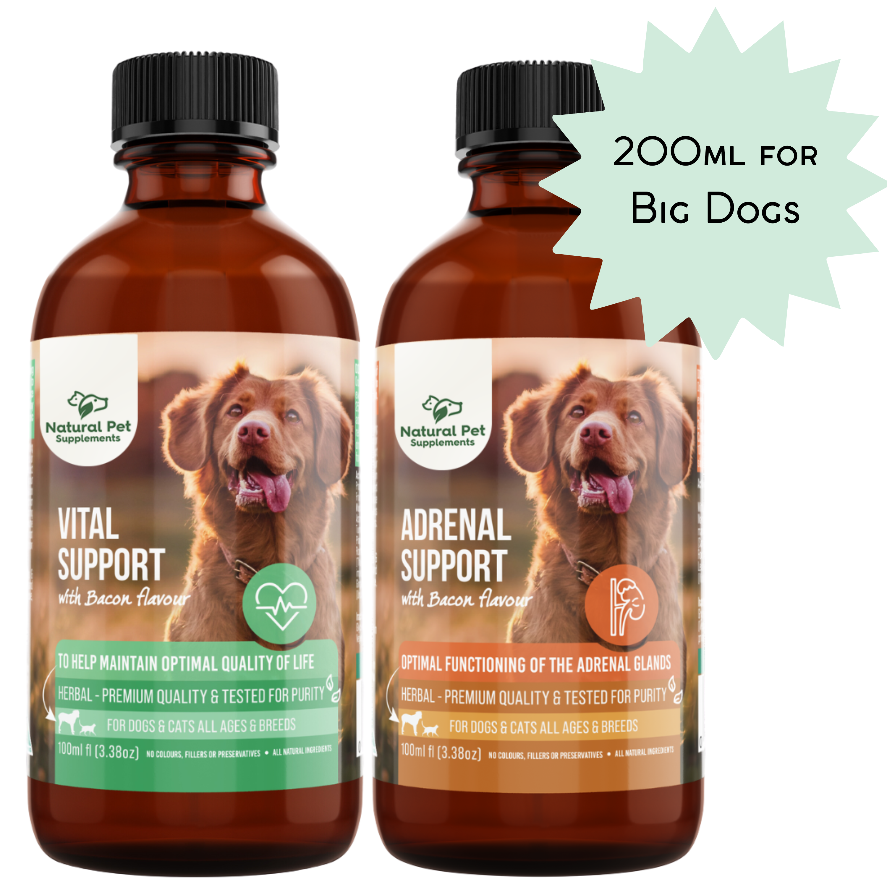 Adrenal Kit, Herbal Tinctures for Dogs