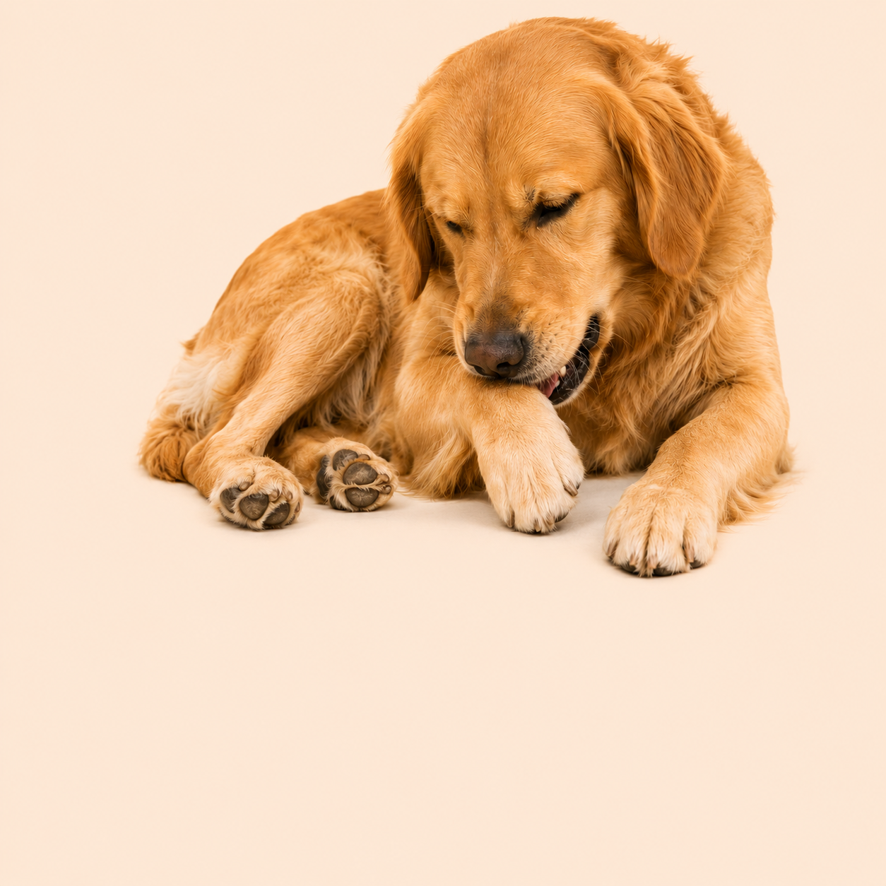 Natural Pet Supplements Australia