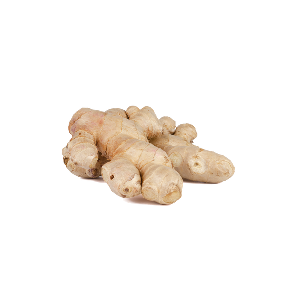 Ginger rhizome used in Natural Pet Supplements Hypothyroid Support for dogs
