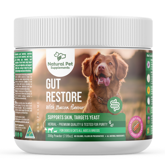 Gut Restore Powder for Dogs and Cats, Bacon Flavour, 200g