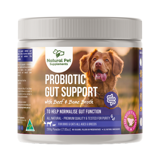 Probiotic Gut Support for Dogs and Cats 200g