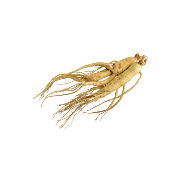 Siberian ginseng used in Natural Pet Supplements Hypothyroid Support for dogs