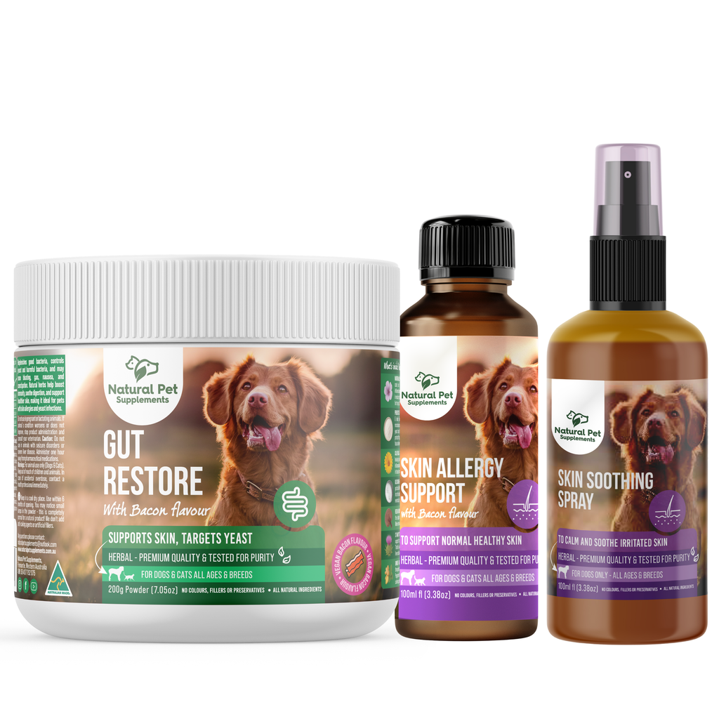 Skin Allergy Kit for Dogs and Cats