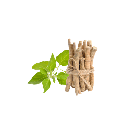Withania herbal ingredient in Seniors Support for older dogs and cats