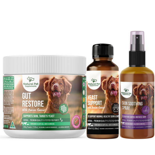 Yeast Kit For Dogs and Cats