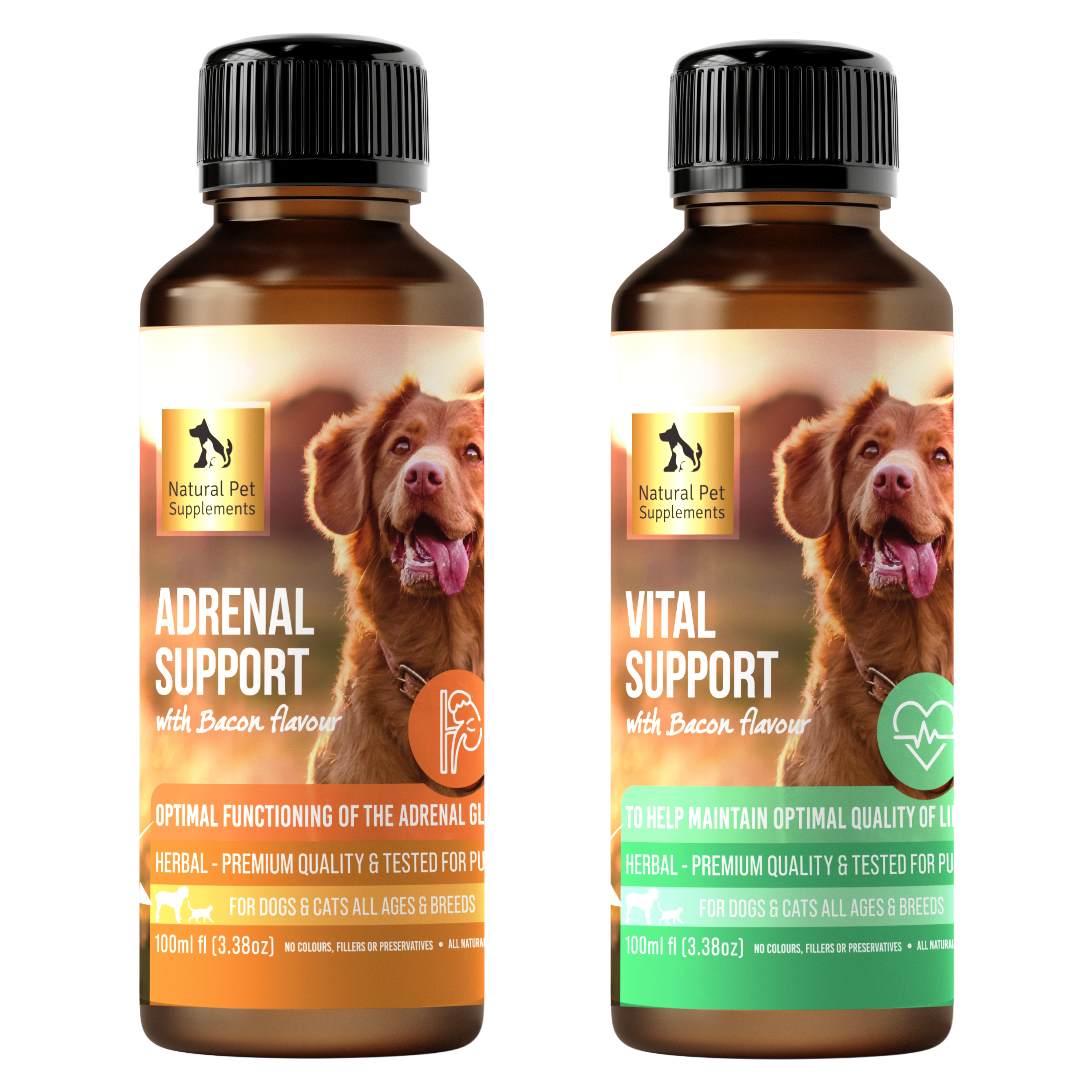 holistic treatment for cushing's in dogs