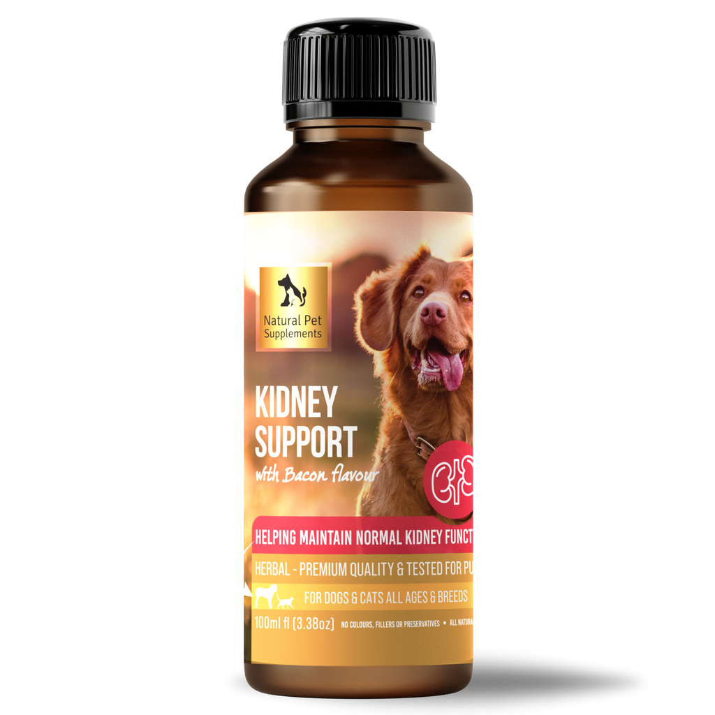 Kidney Support Herbal Tincture For Dogs and Cats