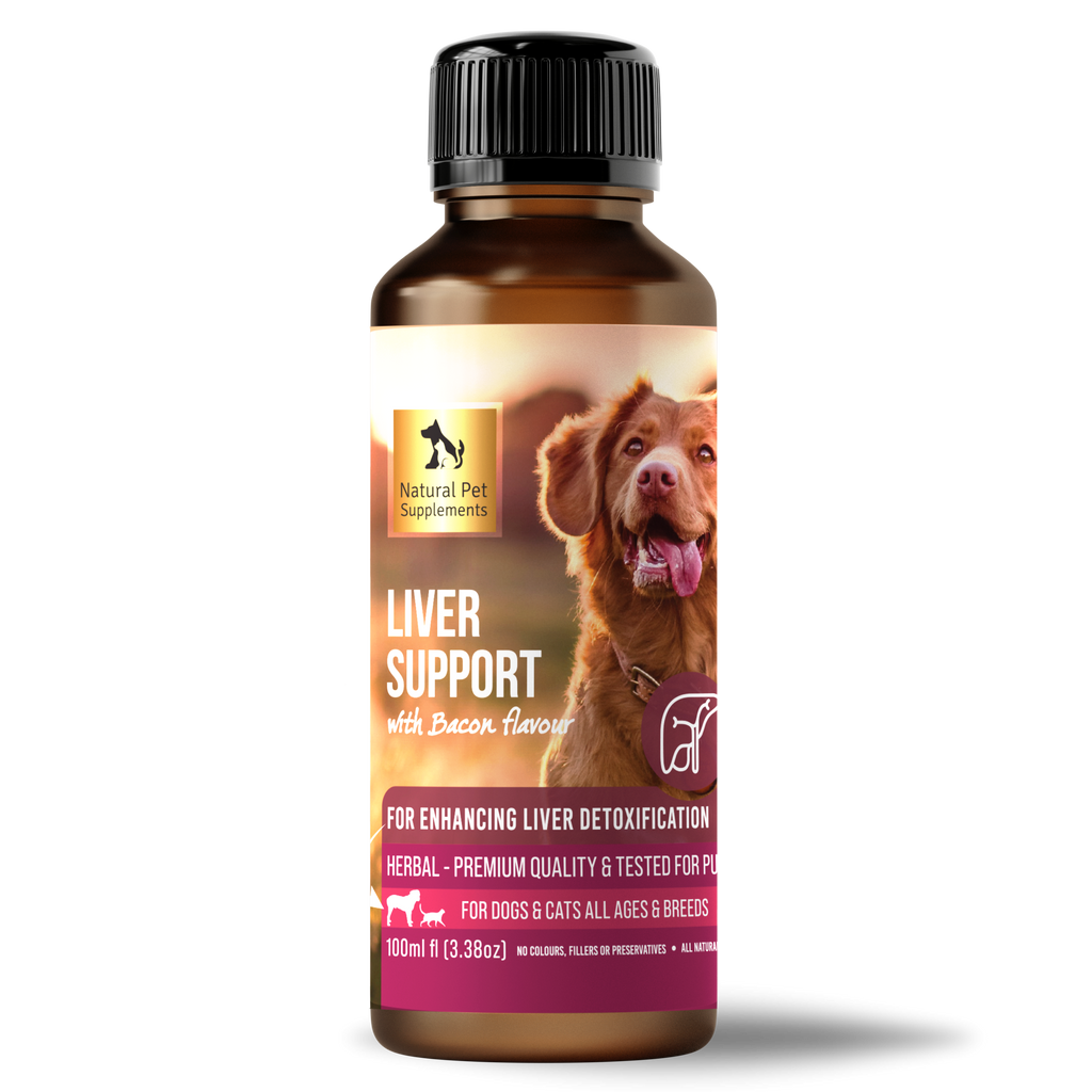 A closer look at Natural Anti-Inflammatory Supplements For Dogs