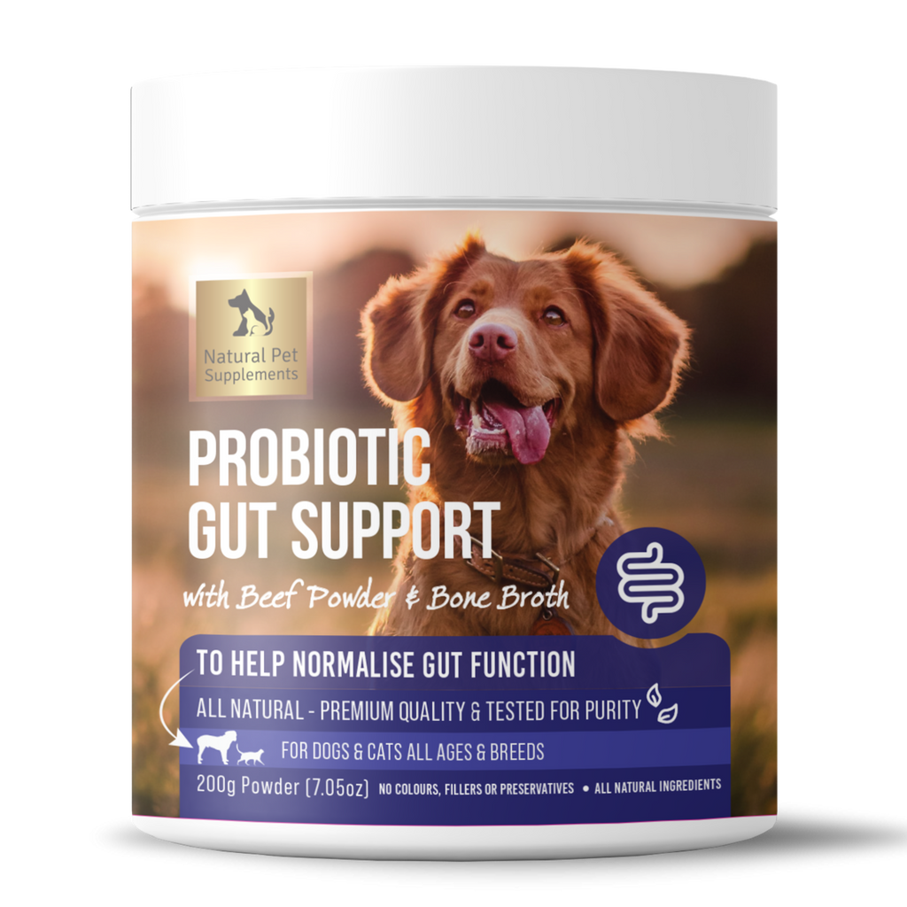 Probiotic Gut Support for Dogs and Cats 200g
