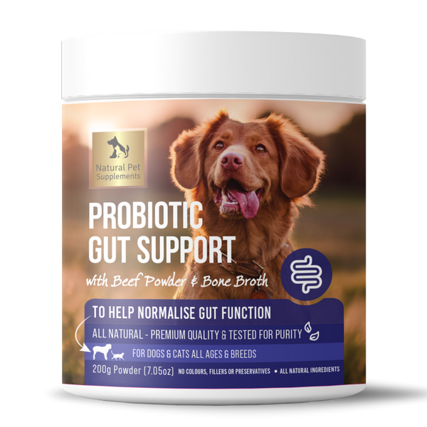 Probiotic support best sale for dogs