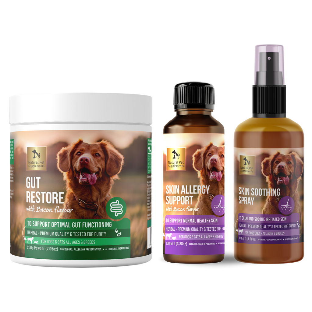 Skin Allergy Kit for Dogs and Cats