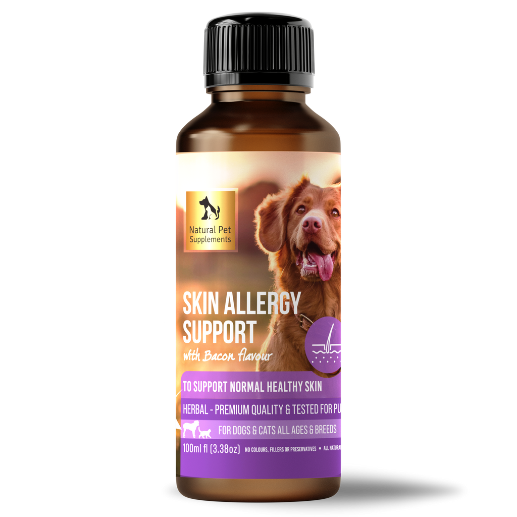 Skin Allergy Support Herbal Tincture For Dogs and Cats